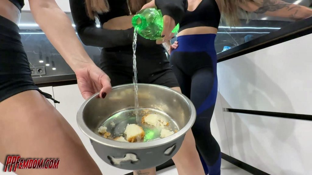 POV pet food (for you) made from farts, armpit sweat, and anus dirt